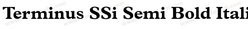 Terminus SSi Semi Bold Italic字体转换